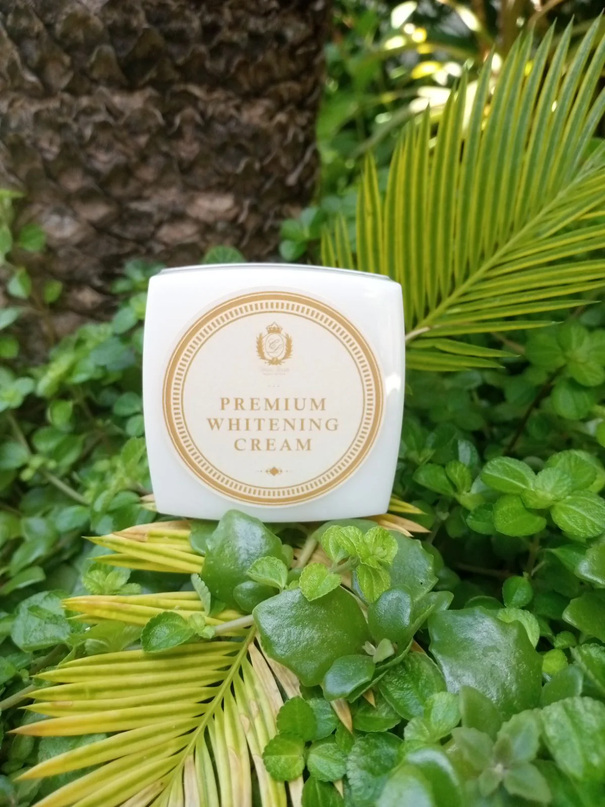 Skincare